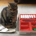 Profile picture of Lin